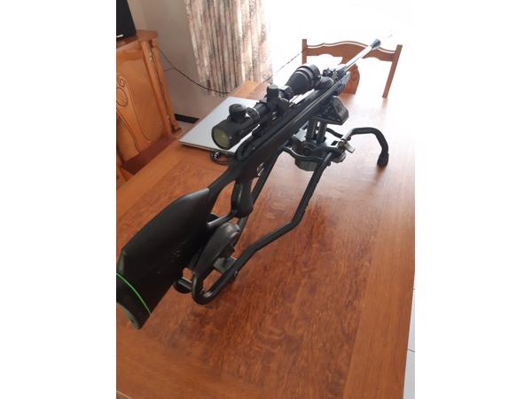 Gamo Swarm Magnum Pro IGT